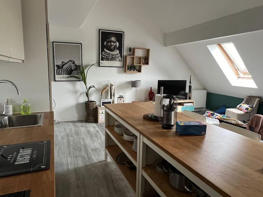 Duplex Cocoooning Appartement