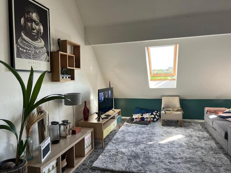 Duplex Cocoooning Appartement Amiens